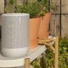 SONOS Move - Image 8